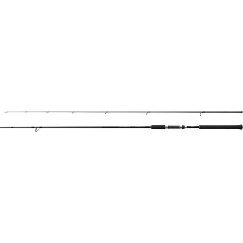 Shimano Kamış Salty Advance Shore Jigging 2,90m 9'6" 60g JIG 80g 2pc