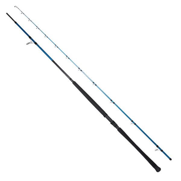 Ryuji Shore Game Fuji 2.95m 30-100gr 2P Shore Jig Kamış
